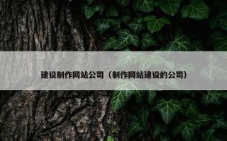 建设制作网站公司（制作网站建设的公司）