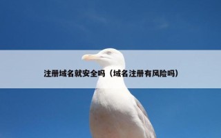注册域名就安全吗（域名注册有风险吗）