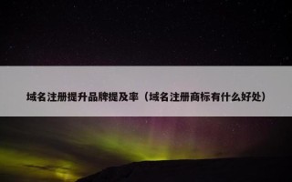 域名注册提升品牌提及率（域名注册商标有什么好处）
