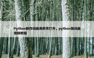 Python制作动画用网页打开，python做动画视频教程
