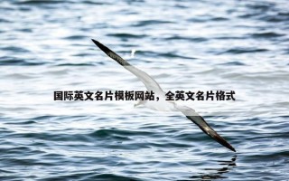 国际英文名片模板网站，全英文名片格式