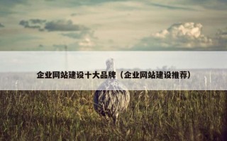 企业网站建设十大品牌（企业网站建设推荐）