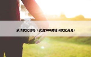 武清优化价格（武清360关键词优化资源）