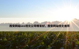 西安网站seo优化公司哪家好，西安网站优化推荐
