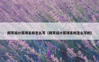 网页设计奖项名称怎么写（网页设计奖项名称怎么写的）