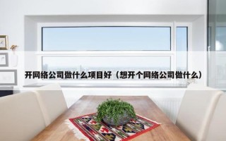开网络公司做什么项目好（想开个网络公司做什么）