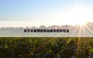 关于长春模板网站哪家好的信息