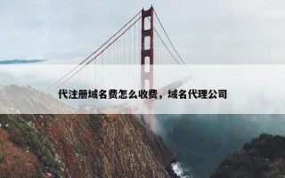 代注册域名费怎么收费，域名代理公司
