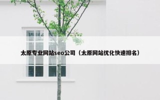太原专业网站seo公司（太原网站优化快速排名）