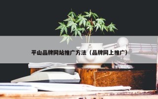 平山品牌网站推广方法（品牌网上推广）