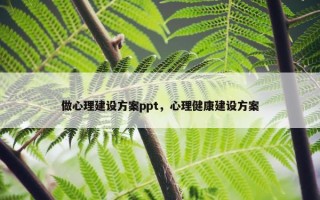 做心理建设方案ppt，心理健康建设方案