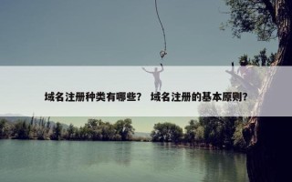 域名注册种类有哪些？ 域名注册的基本原则？