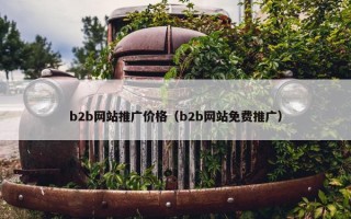 b2b网站推广价格（b2b网站免费推广）