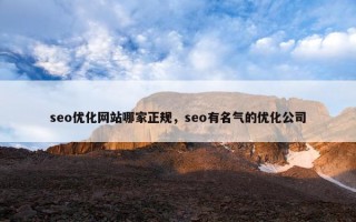 seo优化网站哪家正规，seo有名气的优化公司
