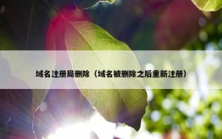 域名注册局删除（域名被删除之后重新注册）