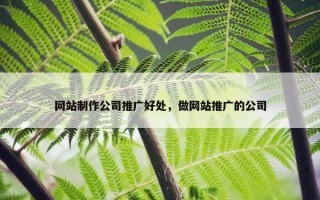 网站制作公司推广好处，做网站推广的公司