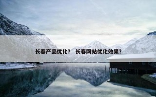 长春产品优化？ 长春网站优化效果？