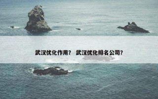 武汉优化作用？ 武汉优化排名公司？
