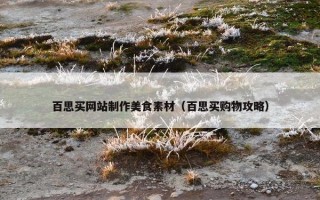 百思买网站制作美食素材（百思买购物攻略）