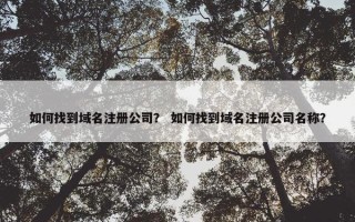 如何找到域名注册公司？ 如何找到域名注册公司名称？