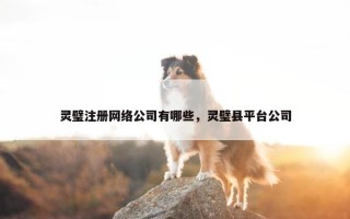 灵璧注册网络公司有哪些，灵璧县平台公司