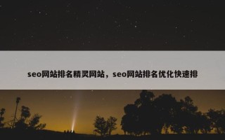 seo网站排名精灵网站，seo网站排名优化快速排