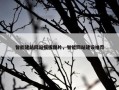 智能建站网站模板图片，智能网站建设推荐
