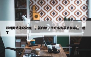 鄂州网站建设及推广，新白娘子传奇小青最后和谁在一起了