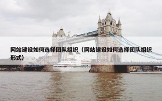 网站建设如何选择团队组织（网站建设如何选择团队组织形式）