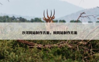 沙河网站制作方案，微网站制作方案