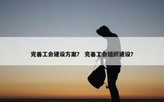 完善工会建设方案？ 完善工会组织建设？