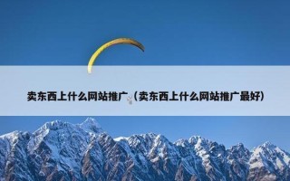 卖东西上什么网站推广（卖东西上什么网站推广最好）