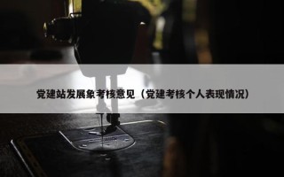 党建站发展象考核意见（党建考核个人表现情况）