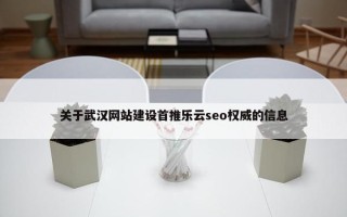 关于武汉网站建设首推乐云seo权威的信息