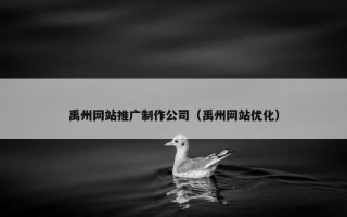 禹州网站推广制作公司（禹州网站优化）