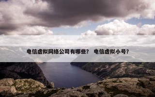 电信虚拟网络公司有哪些？ 电信虚拟小号？