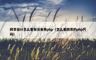 网页设计怎么看有没有用php（怎么看网页的php代码）