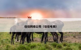 佳佳网络公司（佳佳电商）