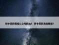 初中简历模板公众号网站？ 初中简历表格模板？