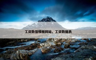 工资数值模板网站，工资数据表