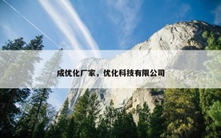 成优化厂家，优化科技有限公司