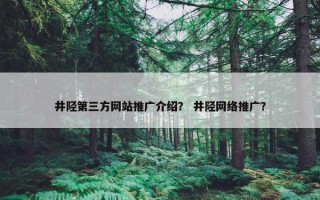 井陉第三方网站推广介绍？ 井陉网络推广？