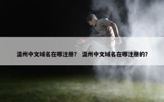 温州中文域名在哪注册？ 温州中文域名在哪注册的？