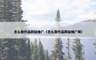 怎么做作品网站推广（怎么做作品网站推广呢）