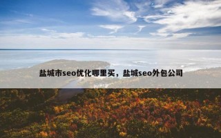 盐城市seo优化哪里买，盐城seo外包公司