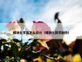 模块化页面怎么设计（模块化网页制作）
