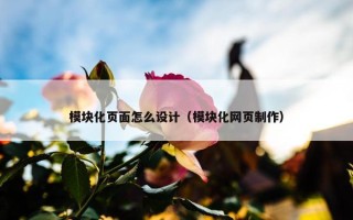 模块化页面怎么设计（模块化网页制作）