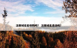 注册域名能收购吗？ 注册域名违法吗？