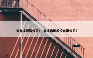 有有成网络公司？ 有成培训学校有限公司？