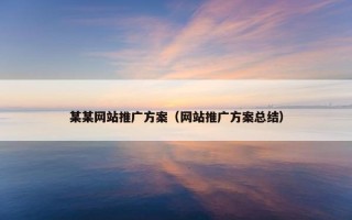 某某网站推广方案（网站推广方案总结）